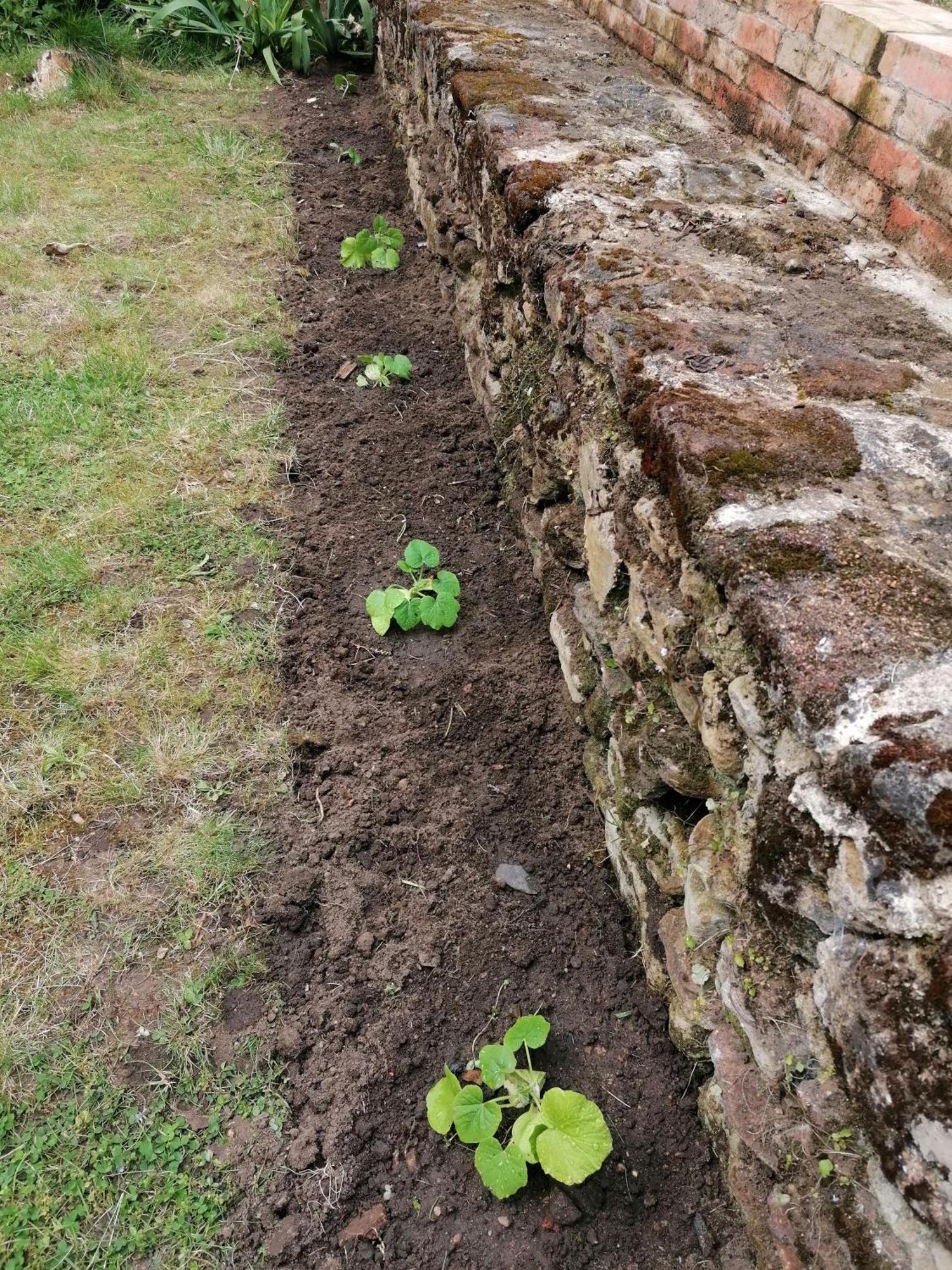 Les Jardins De Beauverger Le Mans Eksteriør bilde